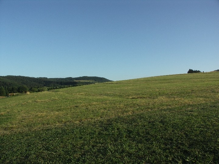 Auf der Nordseite der Hangkuppe