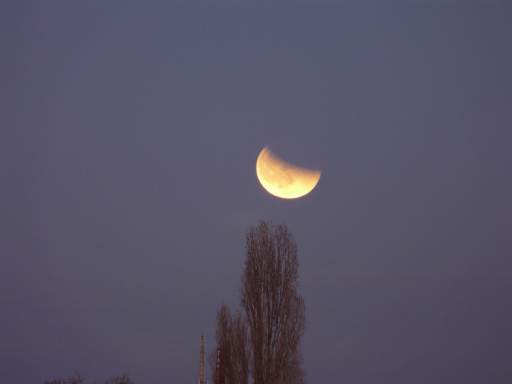 Der partiell verfinsterte Mond über einer Pappel