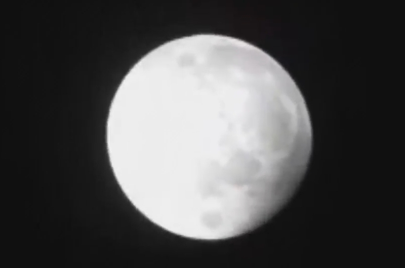 Screenshot aus dem Livestream von David Dickinson aus Florida